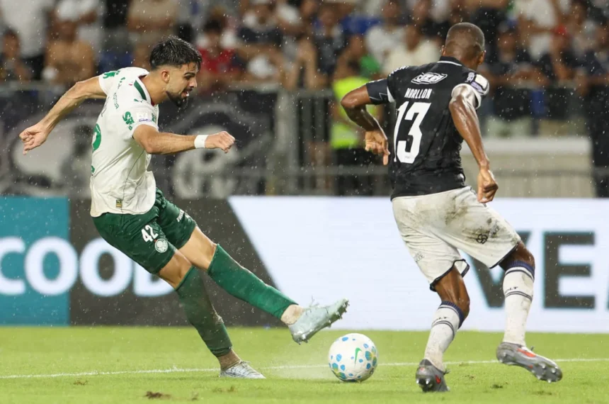 Palmeiras