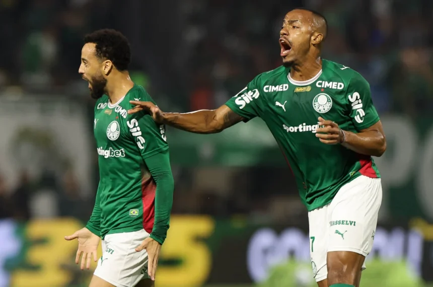 palmeiras