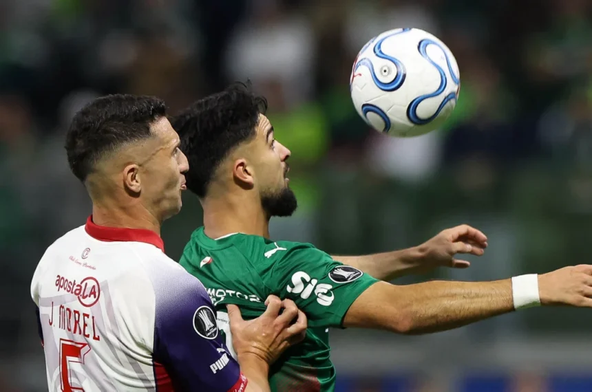Palmeiras