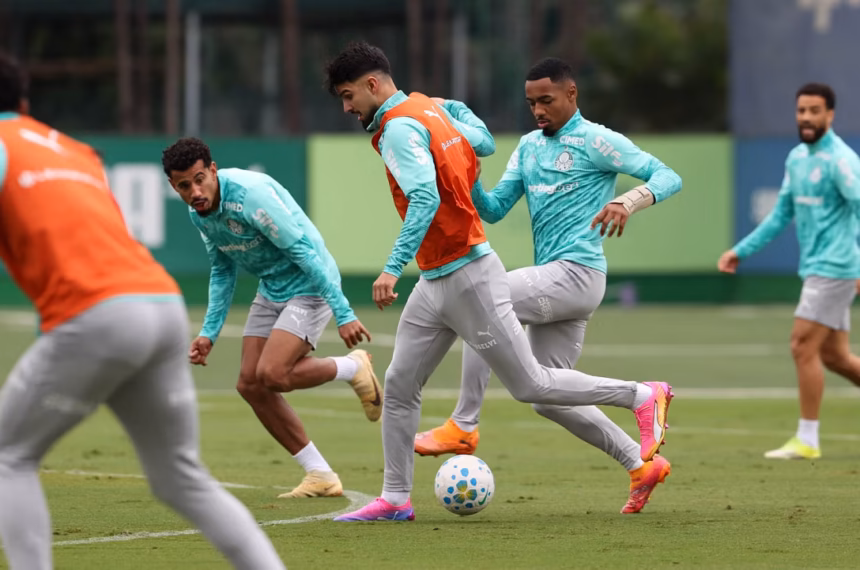 palmeiras
