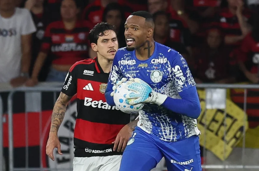 palmeiras
