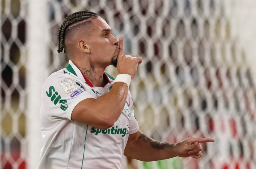 Palmeiras paulinho