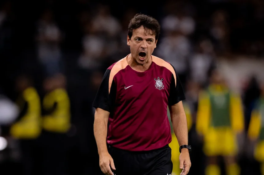 Fernando Diniz