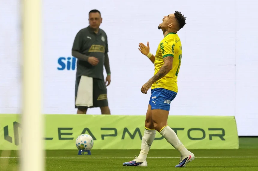 Palmeiras paulinho