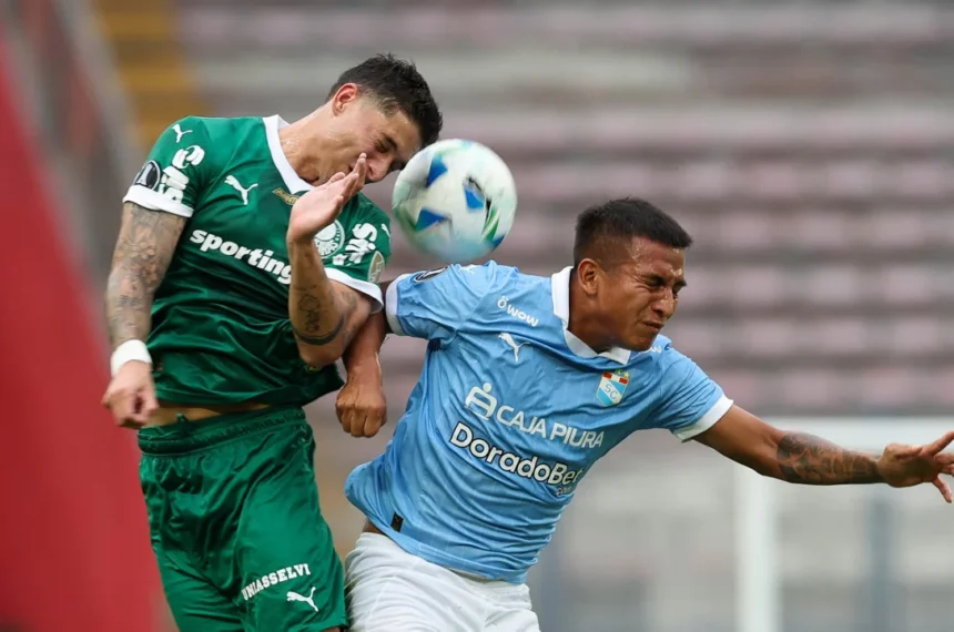 Palmeiras libertadores