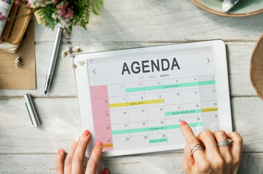 Agenda - Organização