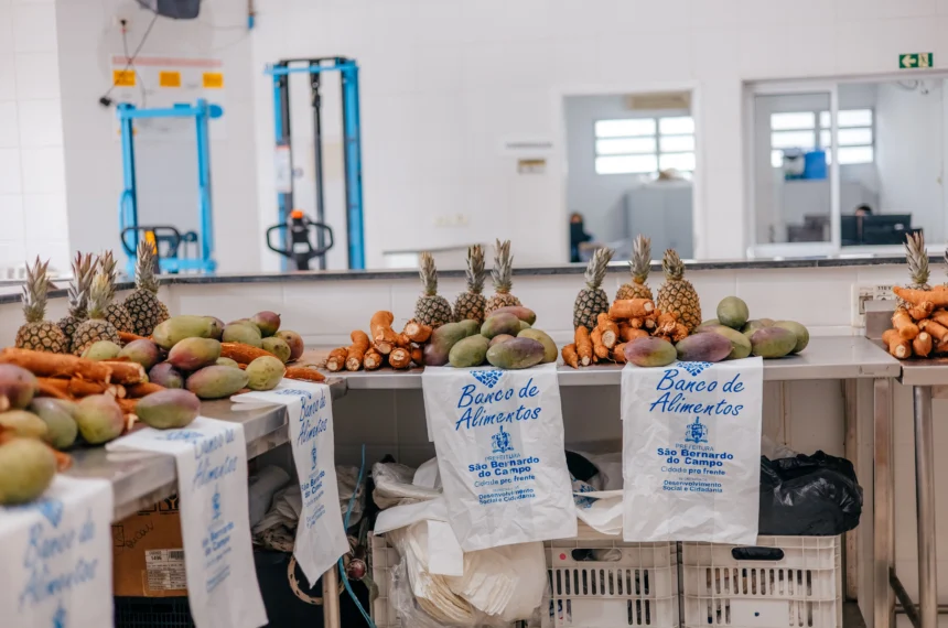 alimentos 