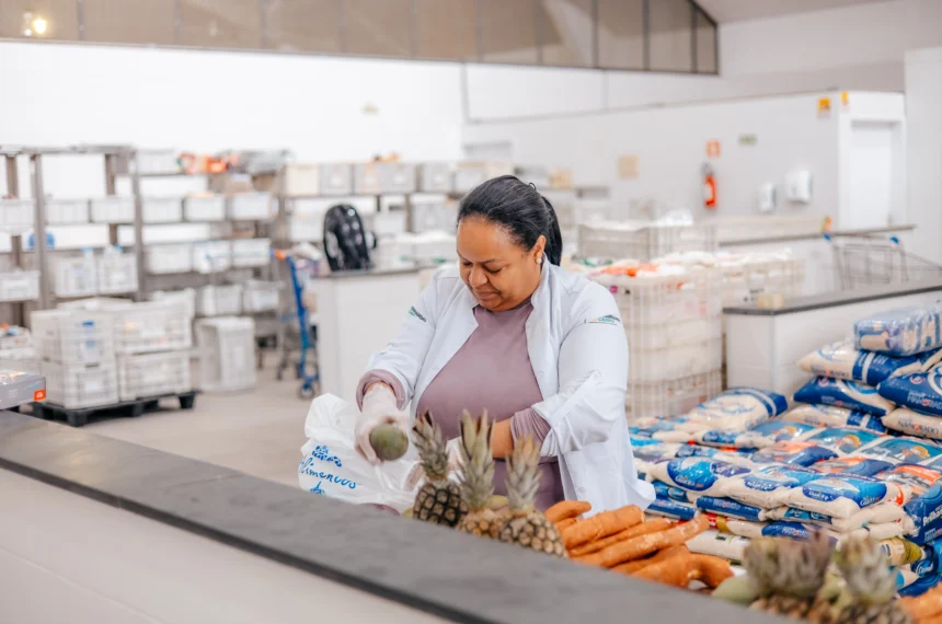 alimentos 