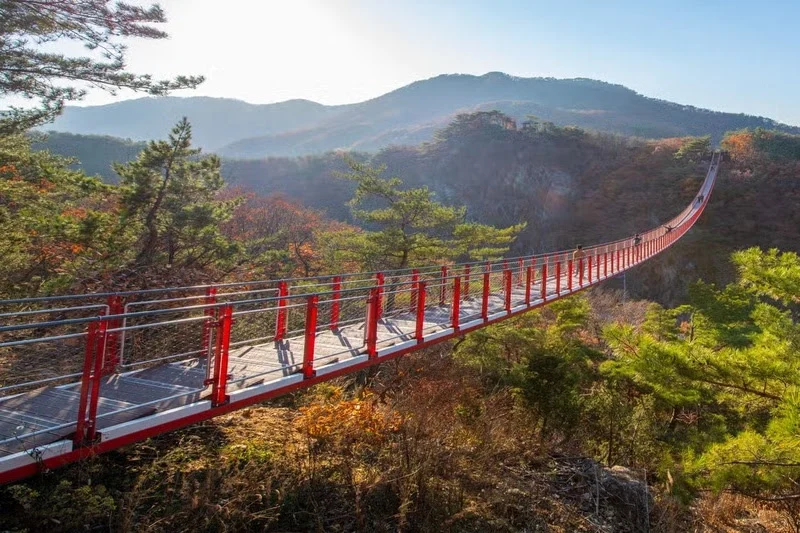 Coreia do Sul