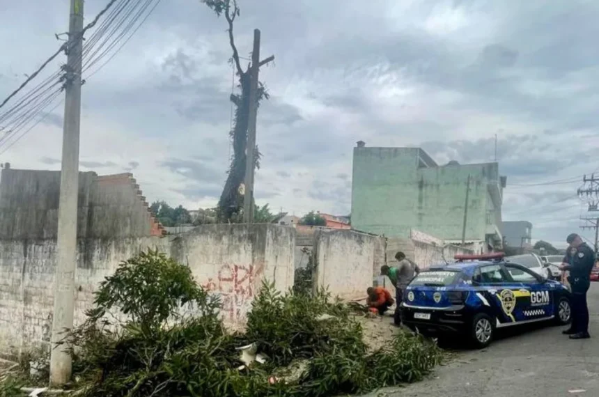 crime ambiental