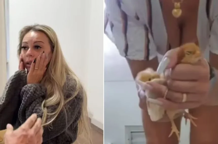 Daiana Schuinsekel - Zoosadismo - Tortura Animal