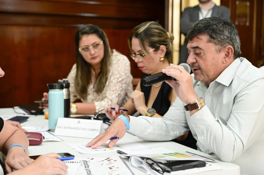 alfabetização