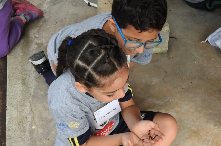 Henducadores Mirins