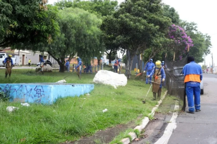 mutirão de limpeza