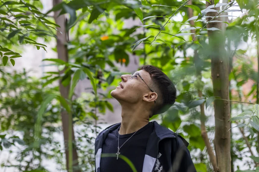 Mata Atlântica