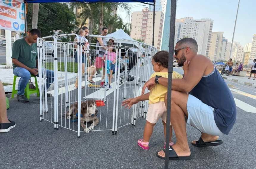 Rua da FelizCidade - Gonzaguinha - São Vicente