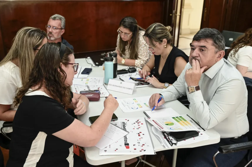  alfabetização