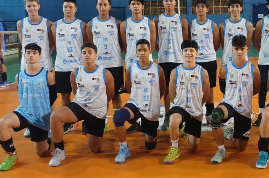 Vôlei masculino
