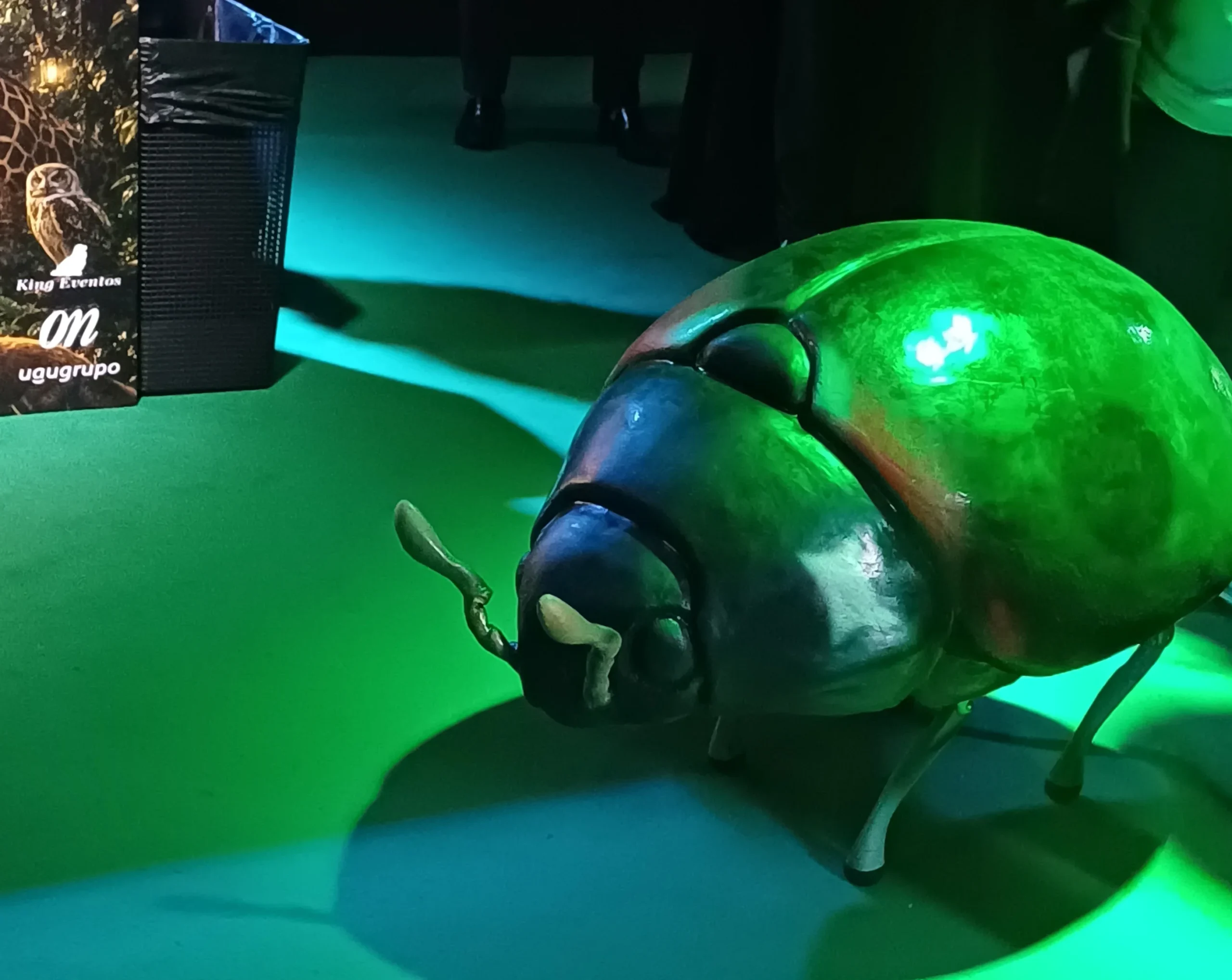 Reino vivo