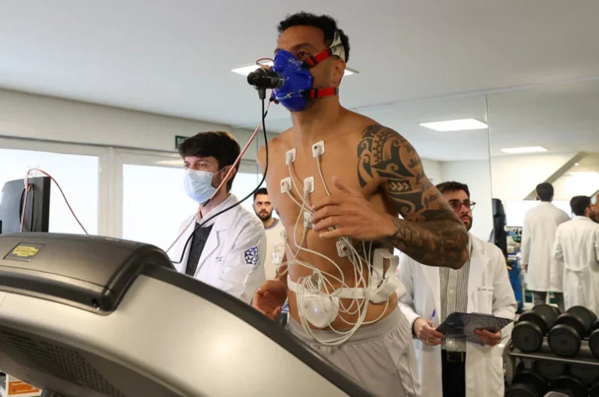 Palmeiras