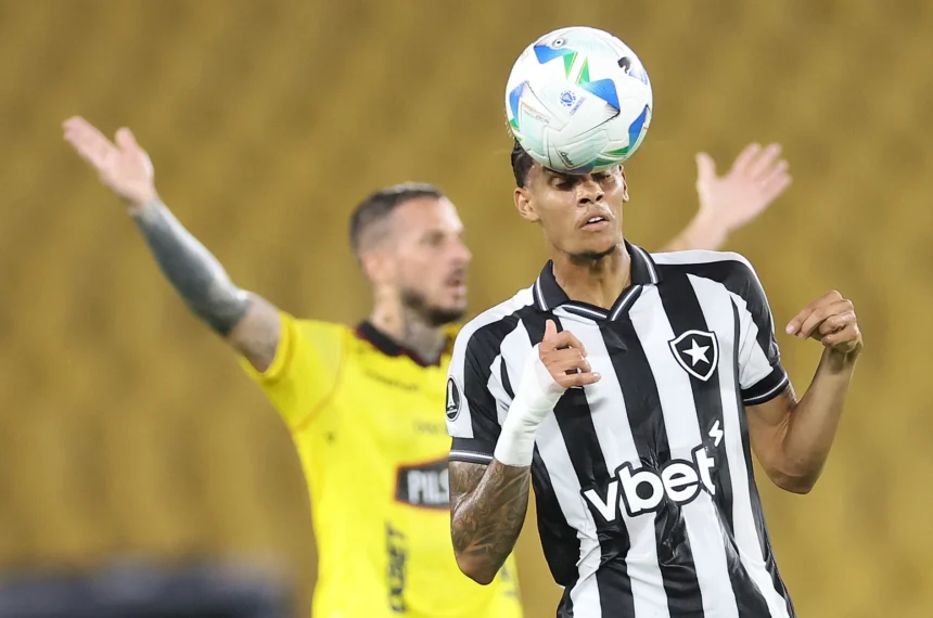 Botafogo Newton Sao Paulo