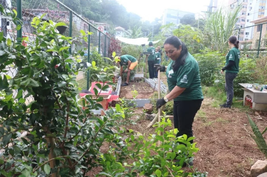 Programa Amigos do Verde em Santos - (Divulgação/PMS)