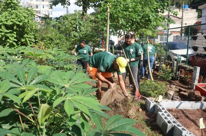 Programa Amigos do Verde em Santos - (Divulgação/PMS)