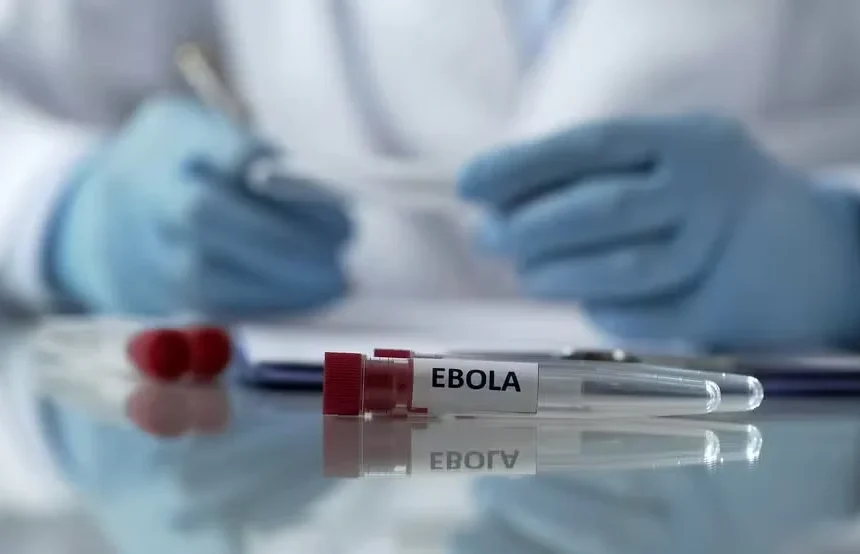 Rio Grande do Sul investiga caso suspeito de ebola em idoso. Linfoma