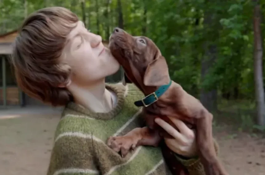 Scooby-Doo: A Origem - Netflix - Live Action - Salsicha