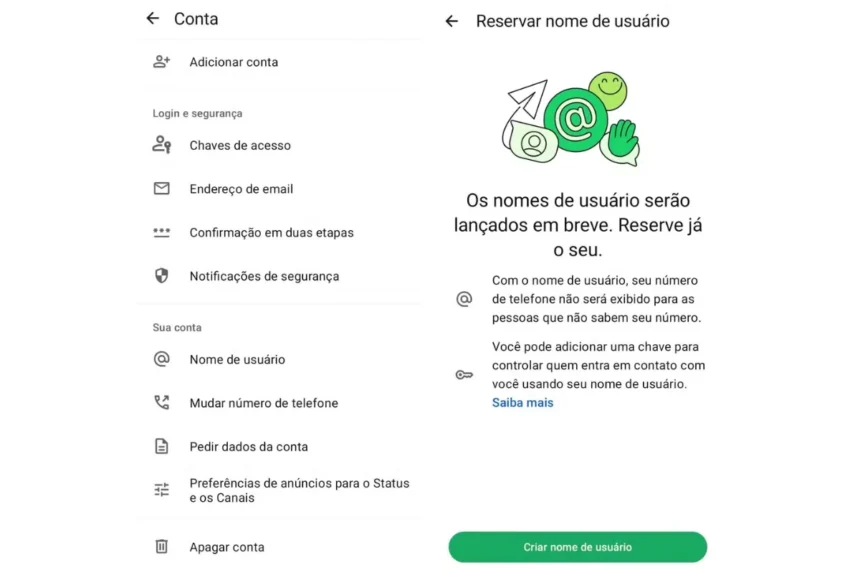 Whatsapp nomes de usuario