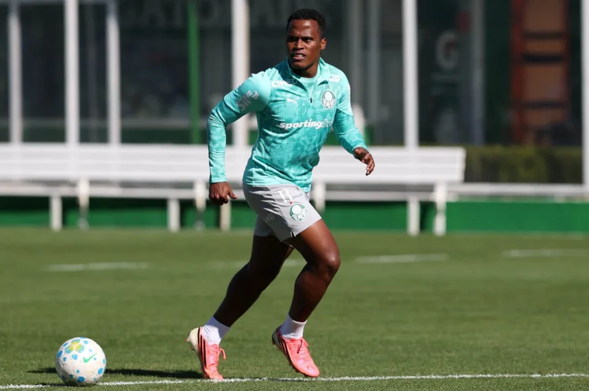 Palmeiras