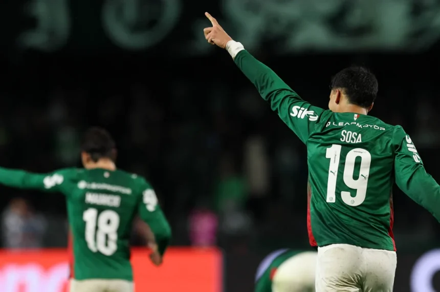 Palmeiras