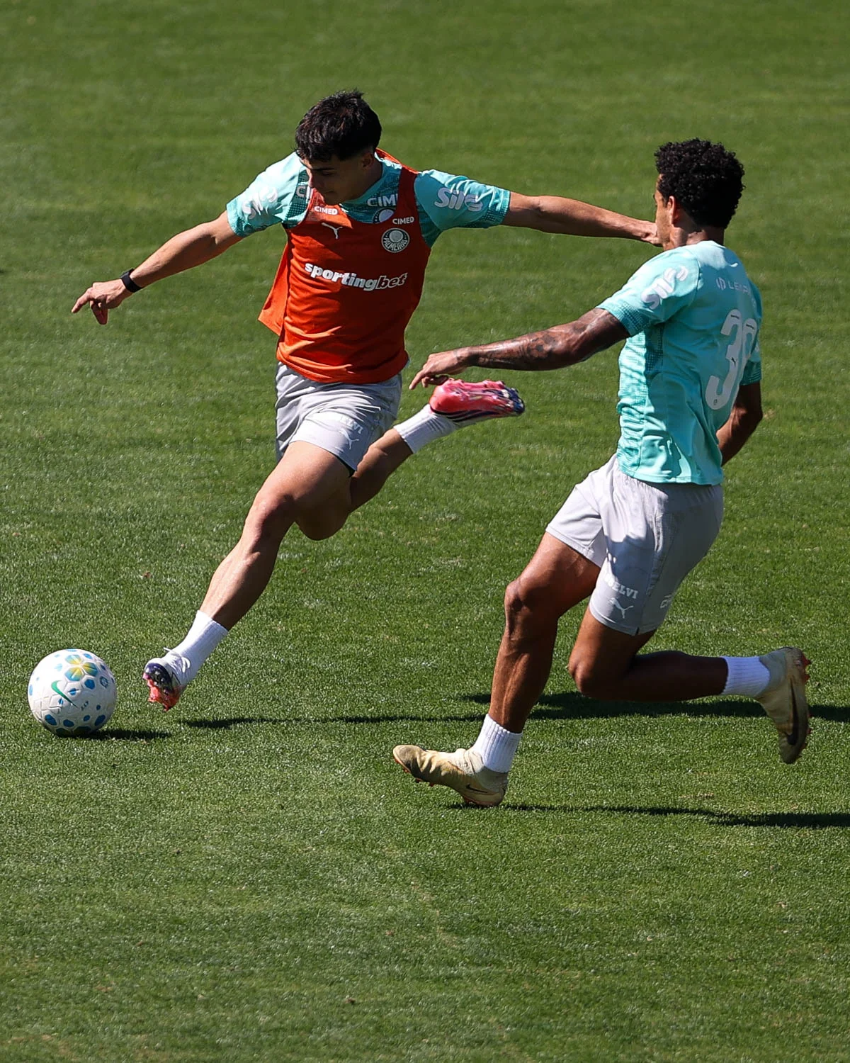Palmeiras