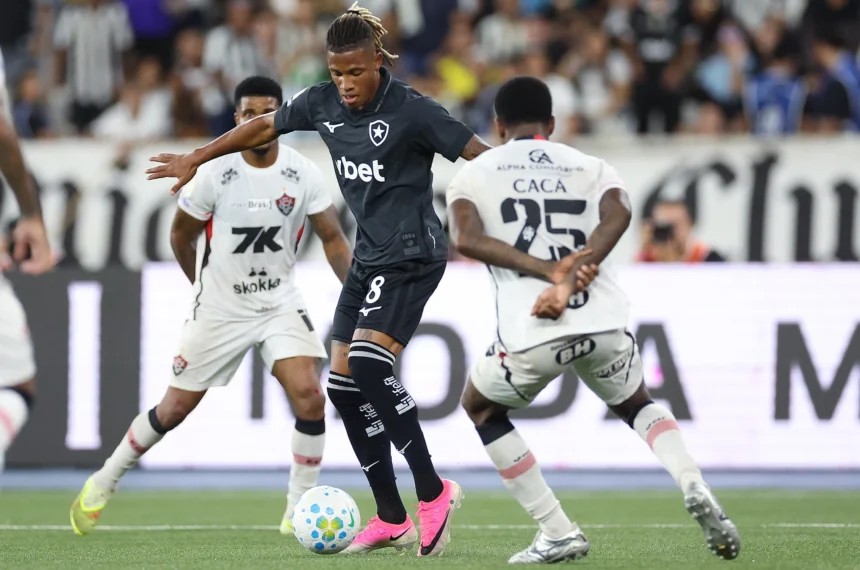 botafogo danilo palmeiras