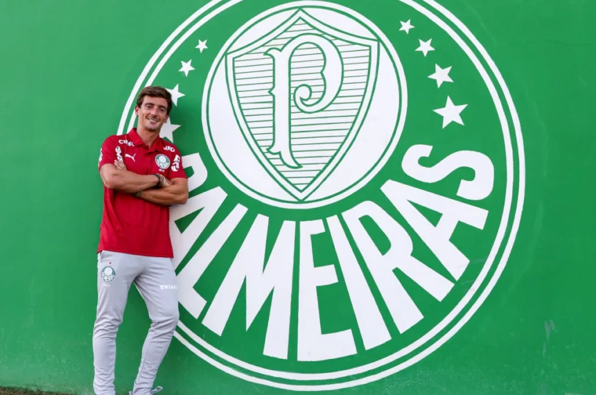 palmeiras