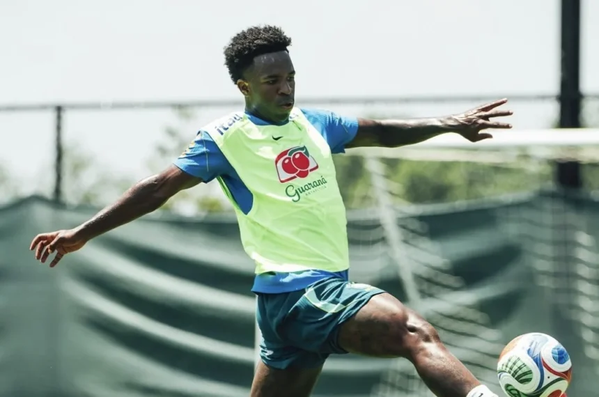 brasil selecao brasileira copa do mundo
