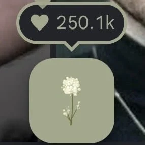 O nome do cantor chegou a 250 mil cliques em duas horas da divulgação das flores no Google (Reprodução)