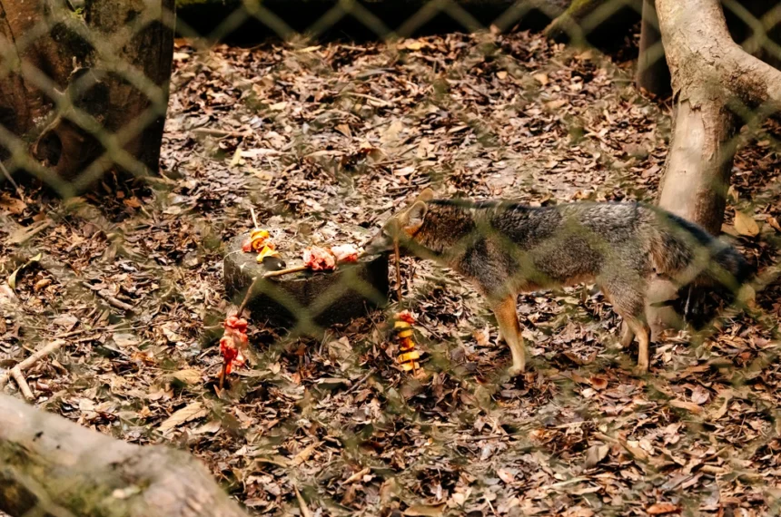 Zoológico