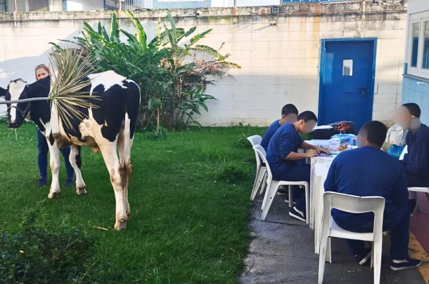Fundação CASA