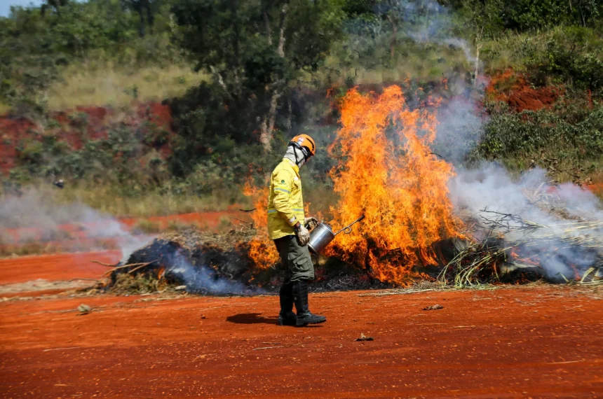 incêndios