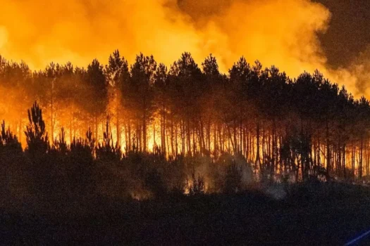 Onda de calor aumenta risco de incêndios florestais em SP