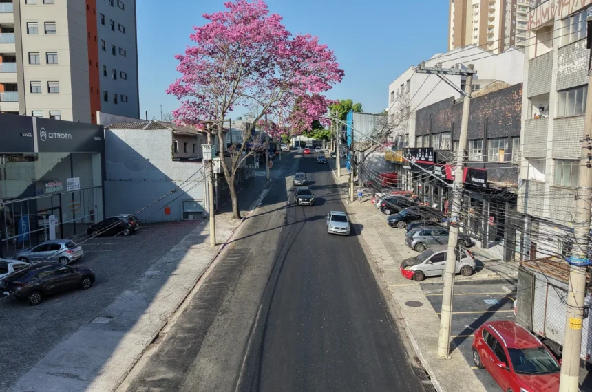 Avenida Goiás