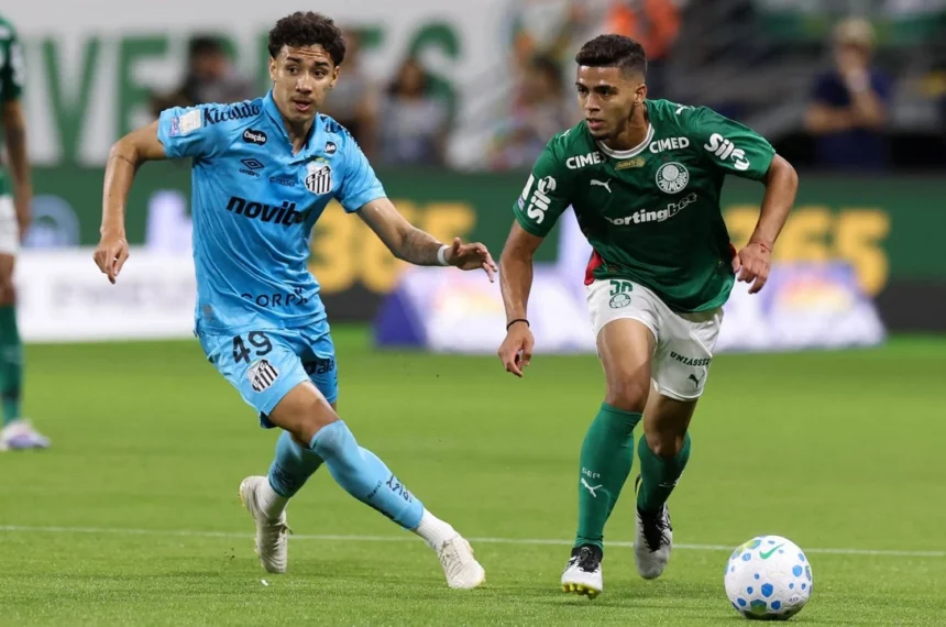 Palmeiras x santos