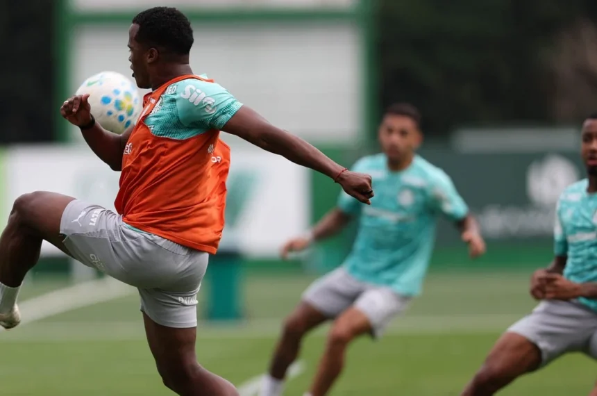 Palmeiras