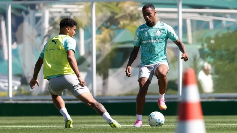 palmeiras