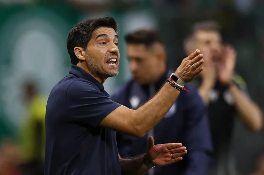 abel ferreira palmerias