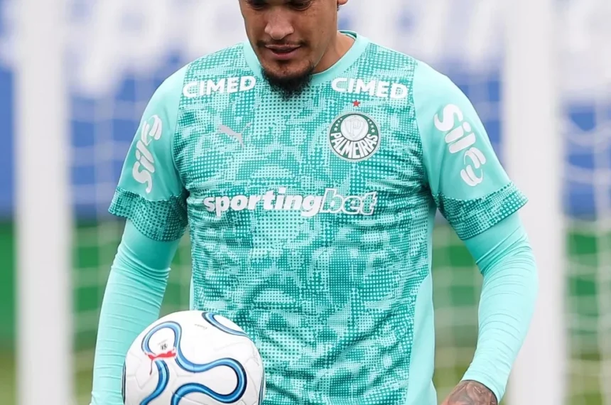 palmeiras