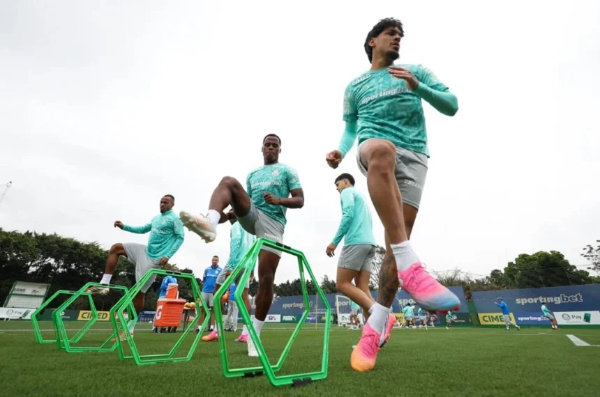 Palmeiras