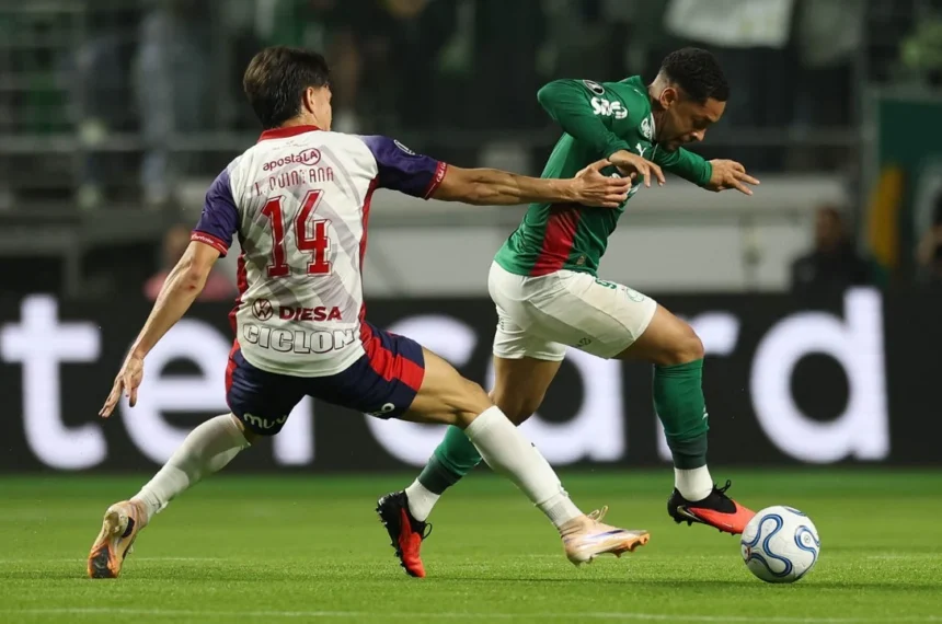 Palmeiras