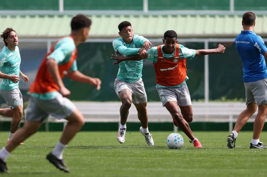 palmeiras
